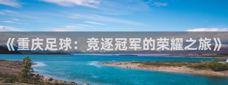 MK体育最新官网登陆